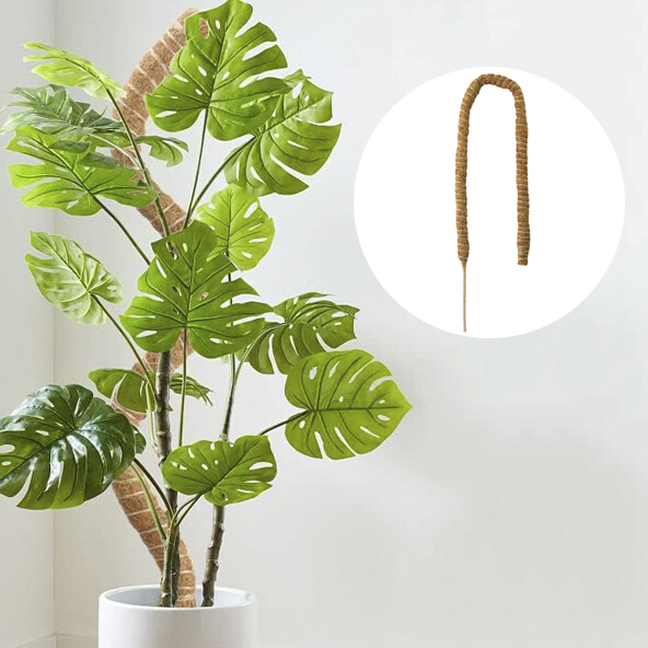 구부러지는 슬림 수태봉 몬스테라 넝쿨 식물 화분 리스 지지대 80cm 7,700원