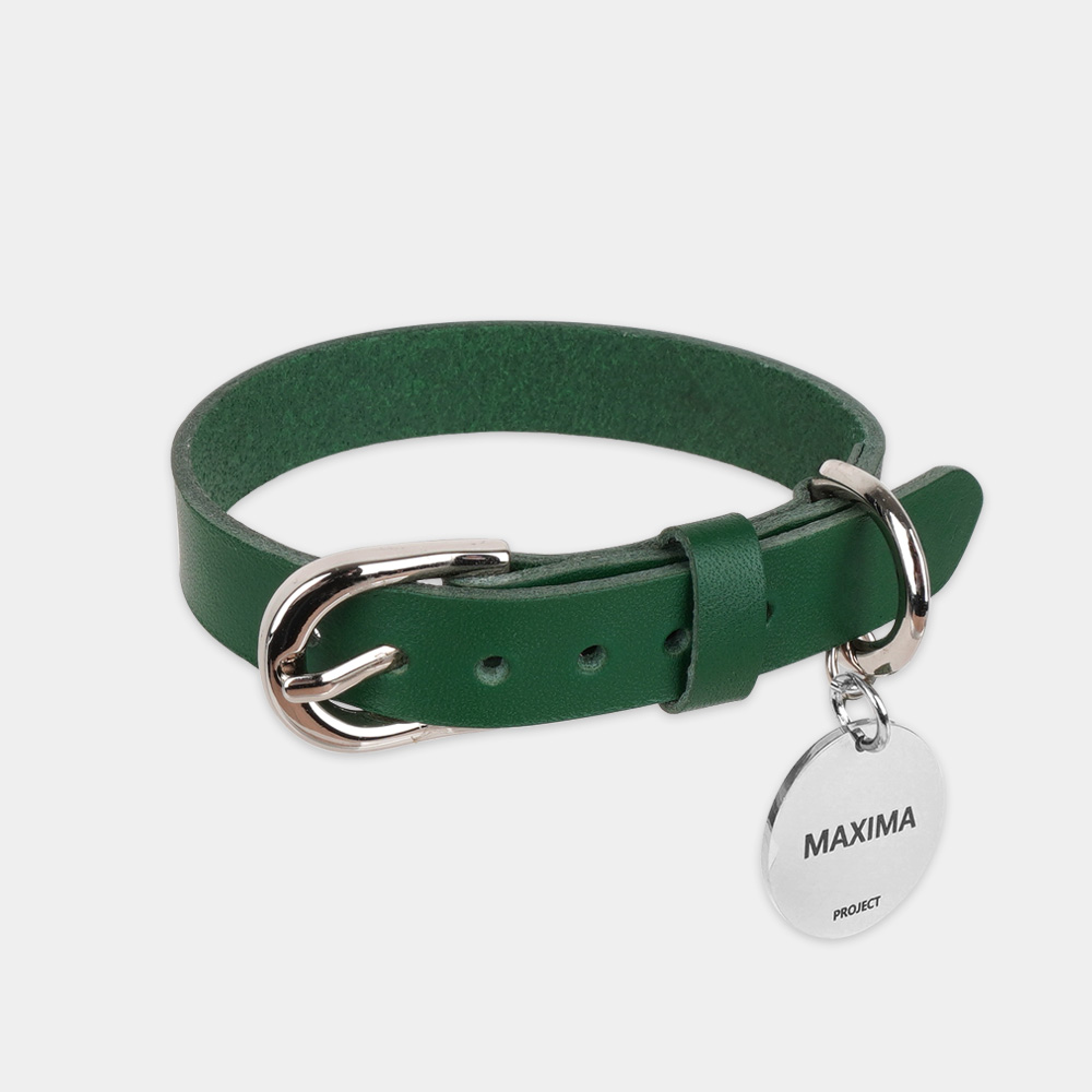 MX PET 베지터블 가죽 목줄 325X GREEN 강아지 소 중 대형 각인, 그린/기본형, 1개 39,900원