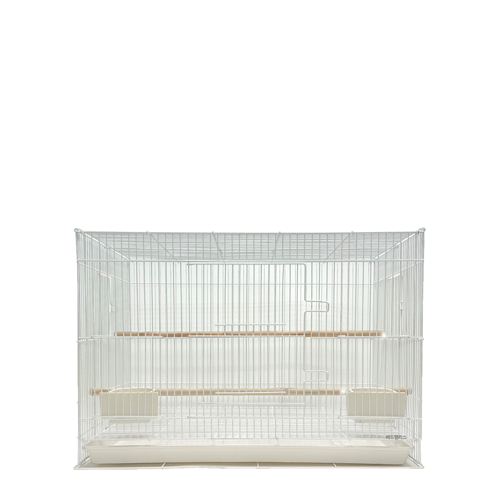 모란 앵무새 새장 600 날림장 M 코뉴어 유리 사랑 빗창앵무 35,500원