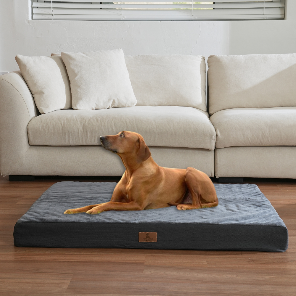 홀릭하임 대형견 슬개골 보호 에그폼 커버분리형 사각 방석 01 L ~ 2XL, 진그레이, 1개 23,000원