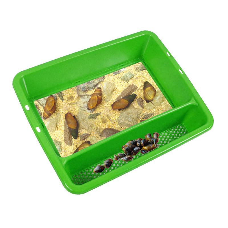 다슬기 수경 고디 채집통 유리창(대) 체험현장 국산 3,900원