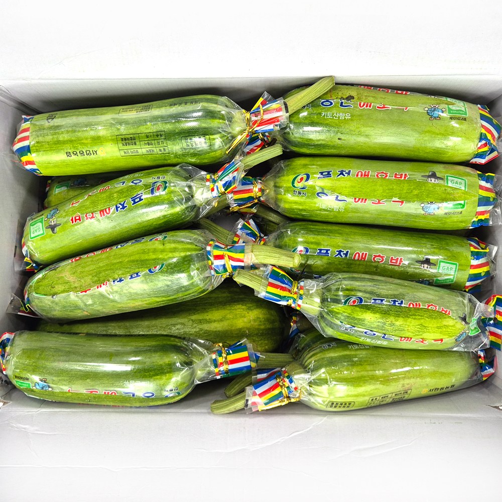 클릭마켓 국내산 못난이 애호박 20개입 하품, 20개, 250g 17,500원