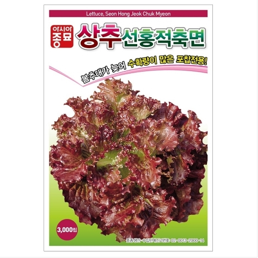 슬로시 쌈채 씨앗 상추 공심채 종자 3,000원
