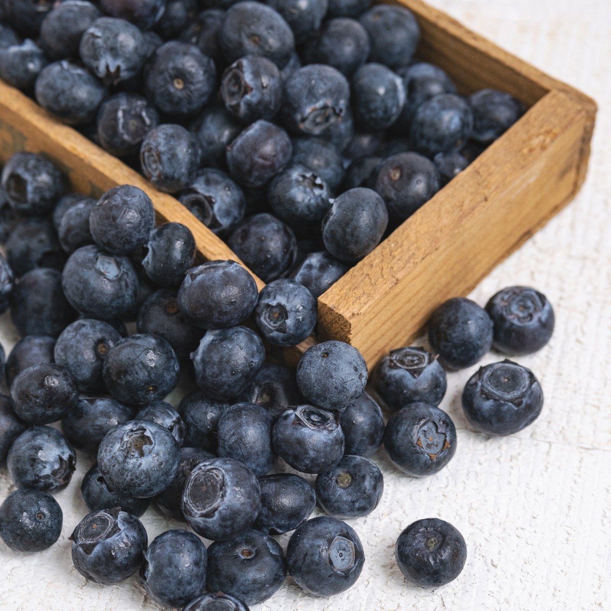 리얼프룻 명품과일 생 블루베리 14-16mm 16-18mm, 12박스, 125g (특대과 16-18mm) 69,000원