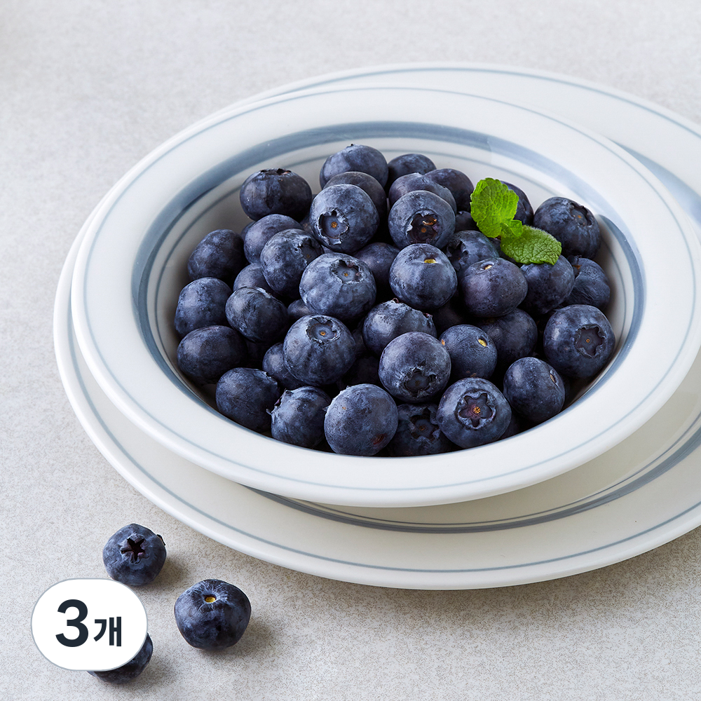 [로켓프레시] 만나다 칠레산 알이 큰 블루베리 11,910원