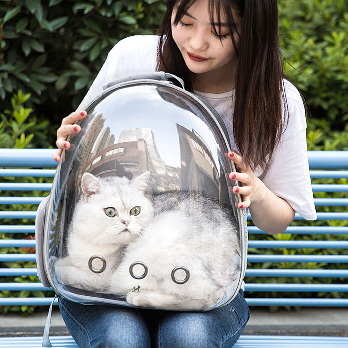딩동펫 반려동물 투명우주선 백팩 9,840원
