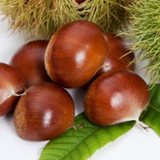 충주밤(대사이즈)   햇밤 맛 100%보장  (이장님네 농산물) 21,000원