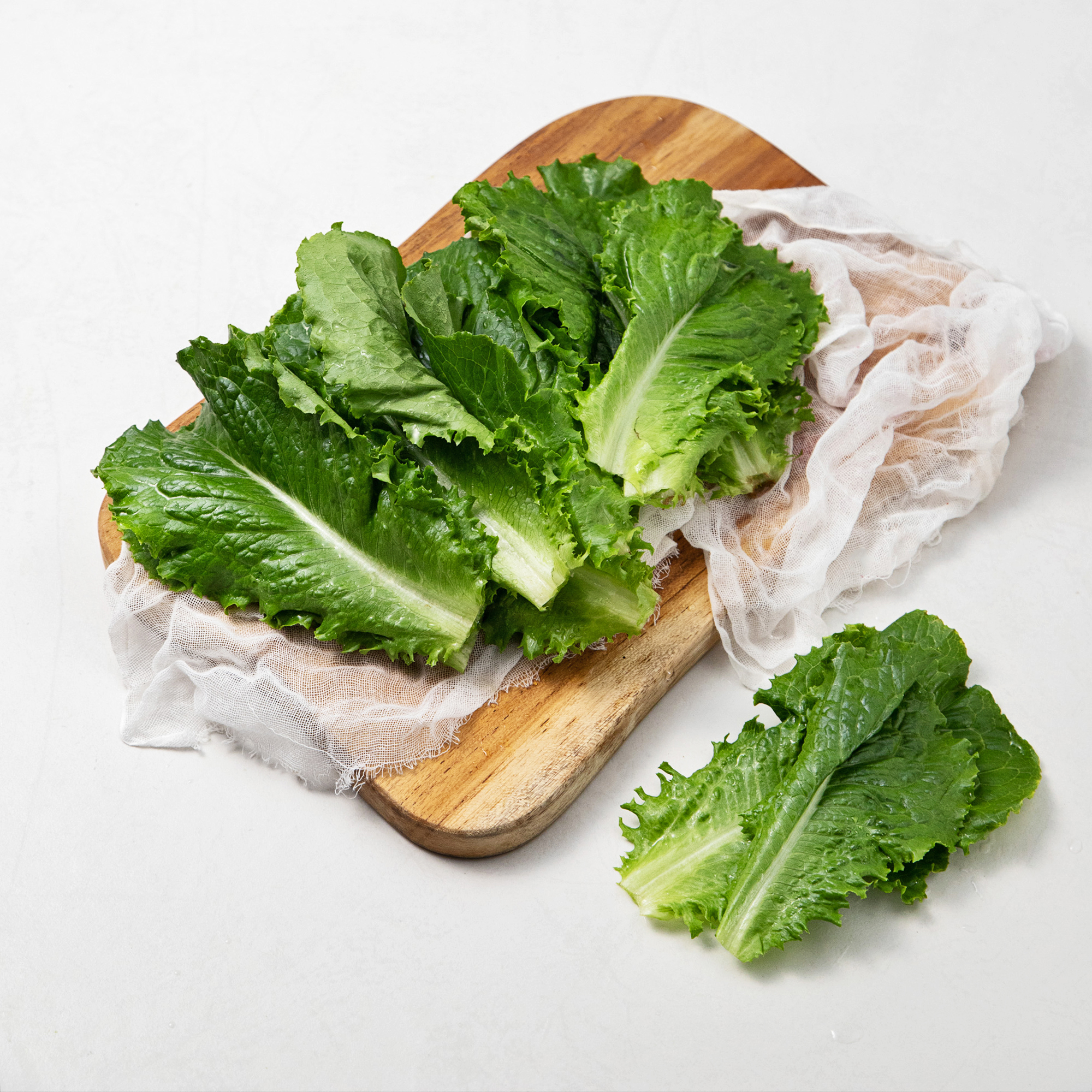 국내산 GAP 아삭한 상추 1,290원