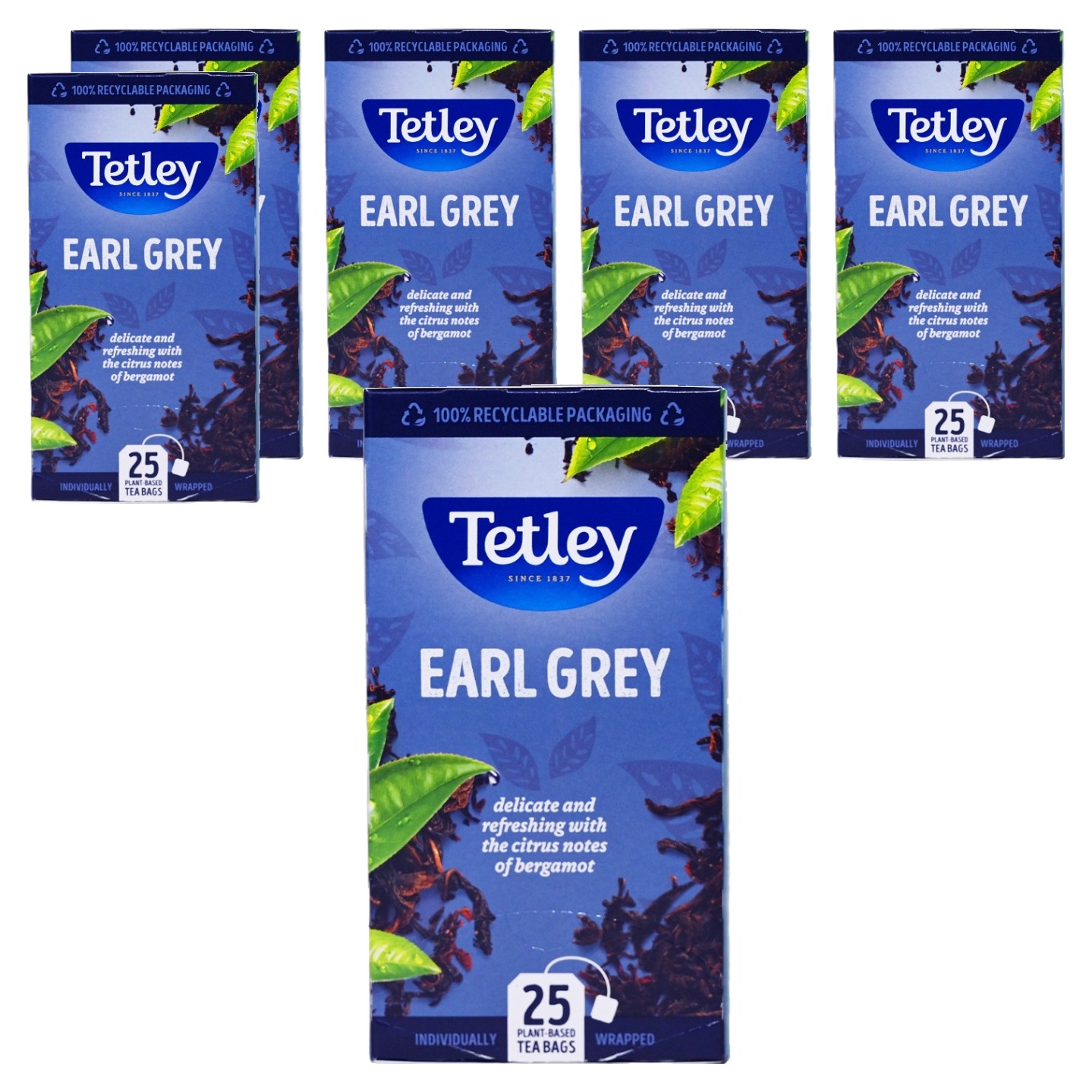 테틀리 얼그레이 티백 30,440원