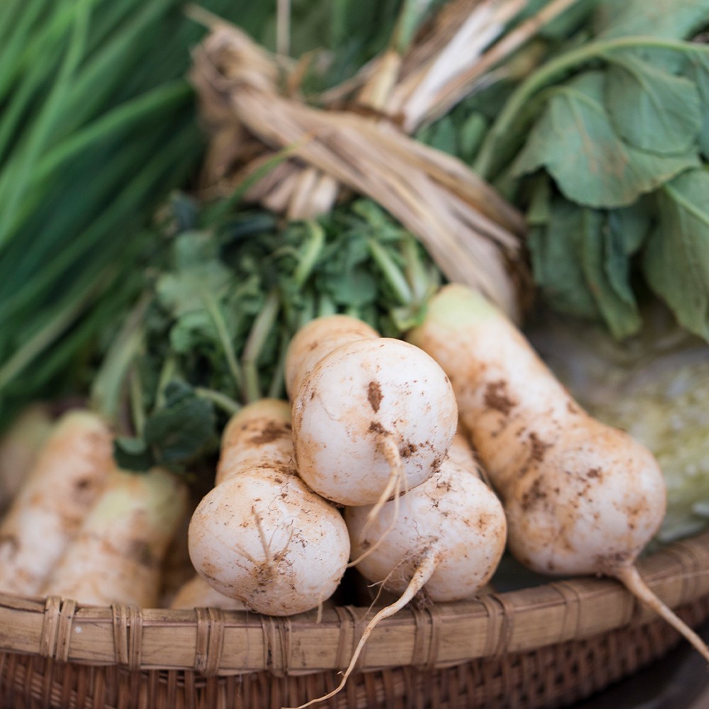 김장용 강원도 특품 알타리무 총각무 3단, 5단 26,000원