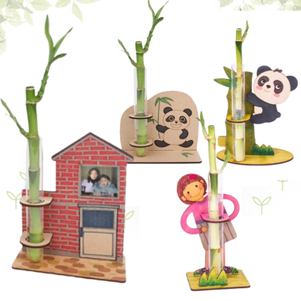 식목일 공기정화 실린더 개운죽 화분 키우기 3,950원