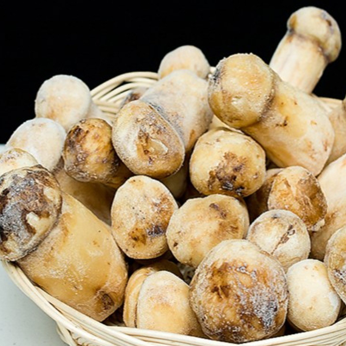 (청림송이,능이) 자연산 냉동송이버섯 (특품), 1개, 냉동송이/3S/1kg 53,500원