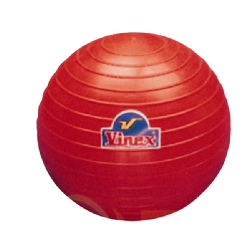 다우리 포환 연습공 포환던지기 육상 포환 공 5kg 99,170원