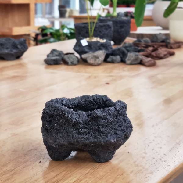 모리앤 화산석 돌화분 4,500원