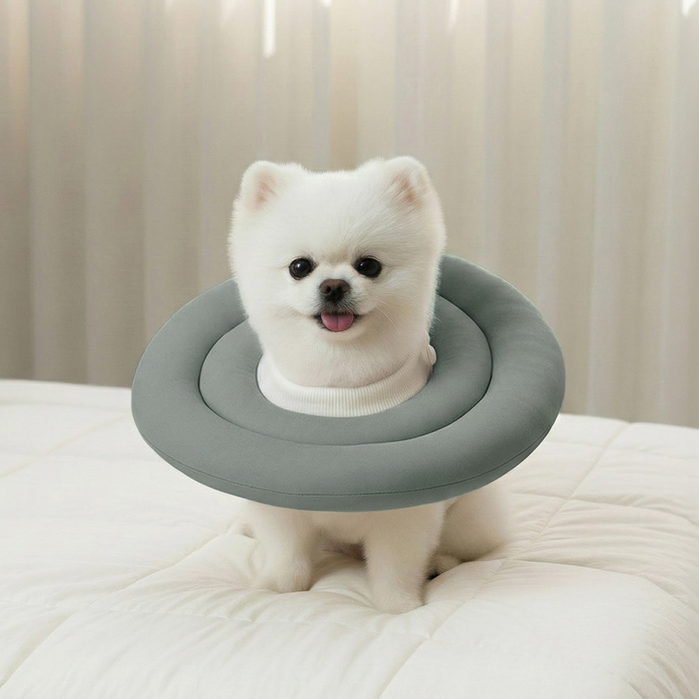 레토 반려동물 방수 초경량 넥카라, 카키그린, 1개 7,800원