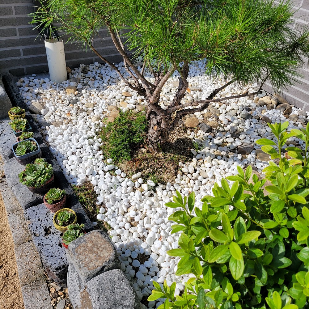 백자갈 20~30mm 전원주택 정원 마당 카페 베란다 조경 인테리어 자갈 해미석 돌멩이 13,120원