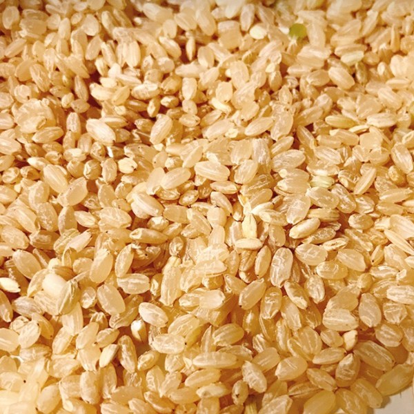 불릴필요없는 부드러운 칼집현미 국산, 1개, 4kg 17,600원