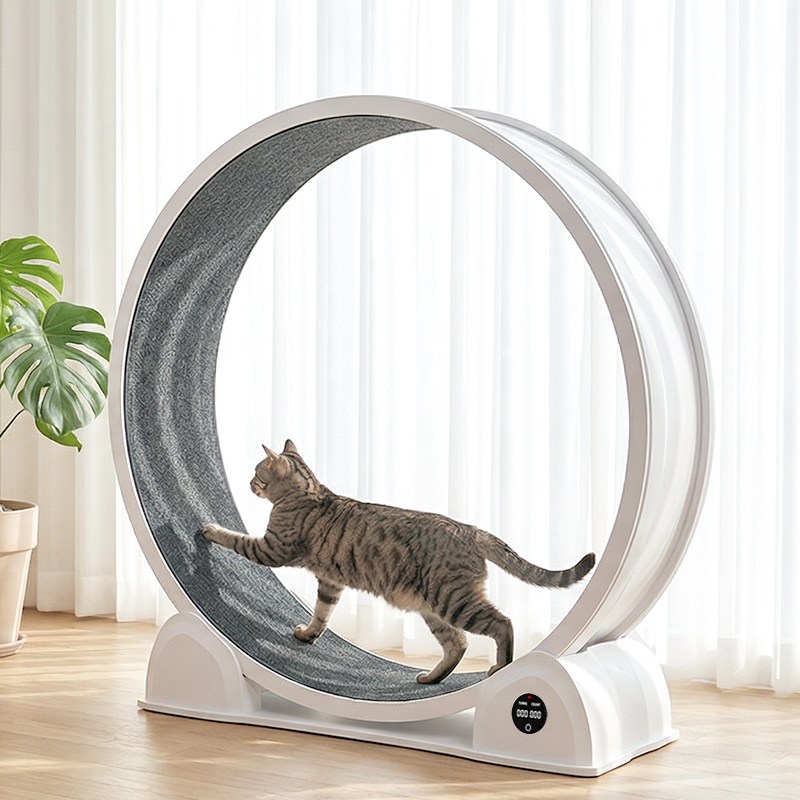 돌아라 저소음 대구경 캣휠 스마트 거리측정 고양이 런닝머신, 1개, 흰색, 현재가 160,000원