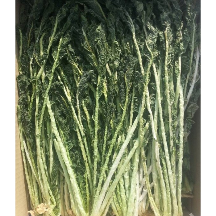 양구 2026년 햇 건시래기 1kg/시래기 /양구시래기/펀치볼시래기/무청시래기/ 1박스, 1박스 25,900원