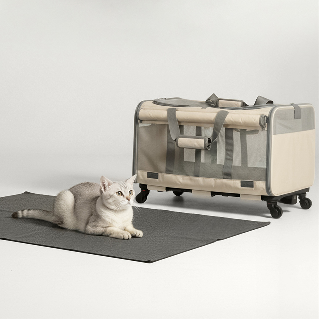 우아지오 반려동물 2칸분리 캐리어 이동 가방, 베이지L, 1개 85,000원