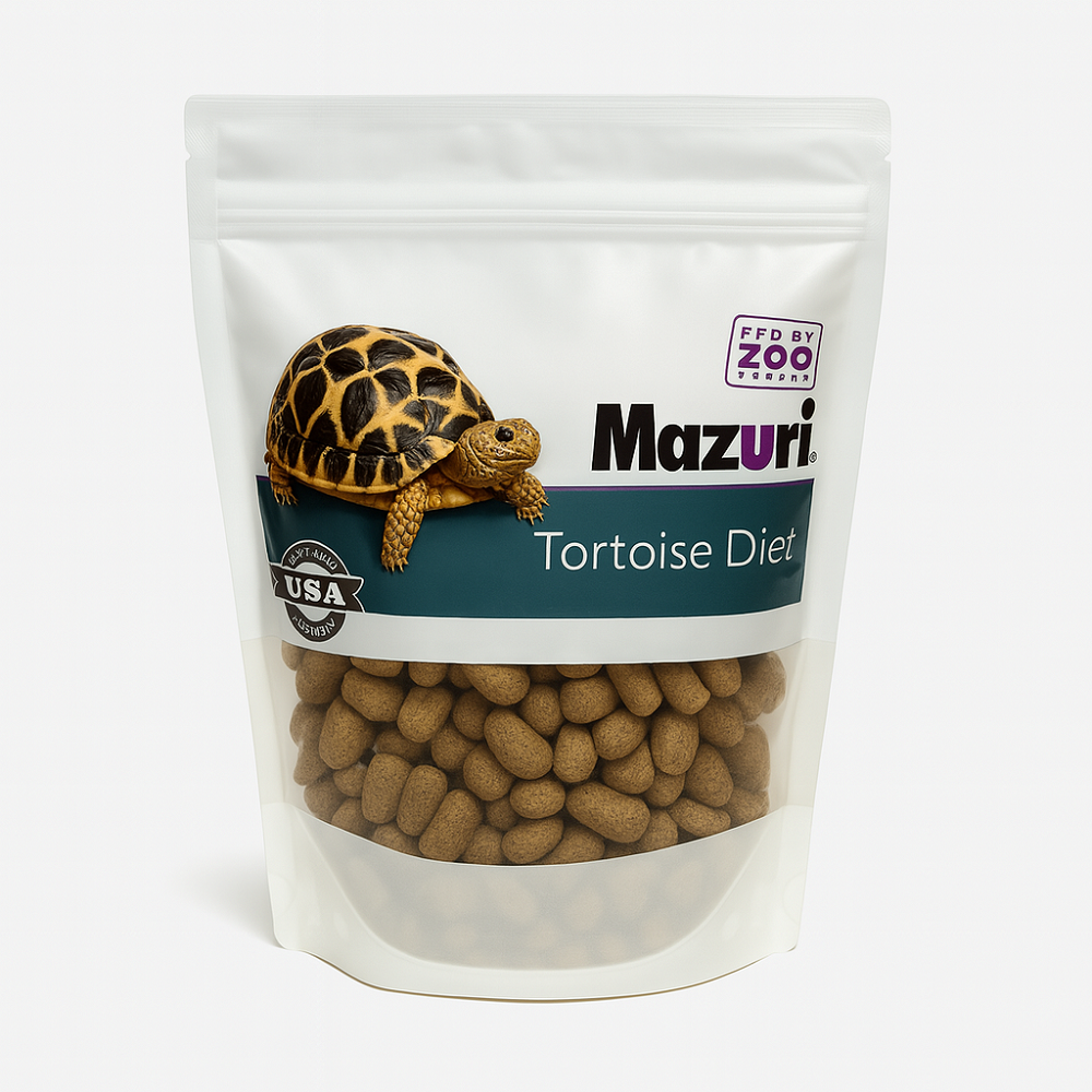 마주리 육지거북이 오리지널 13,200원