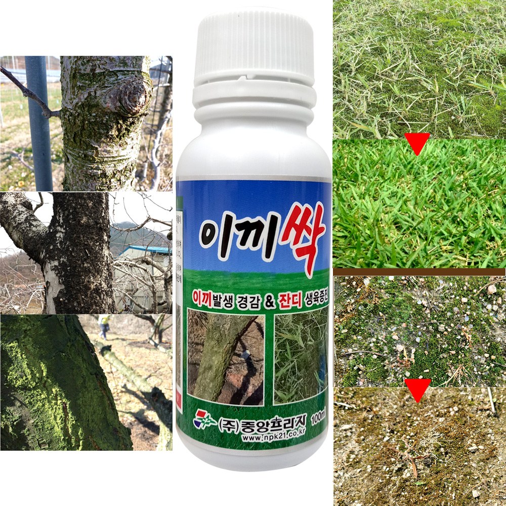 청태 제거제 전용 잔디영양제 1병 약 10면적사용 산소 묘지 운동장 골프장 마당 관리 잔디 밭 과수나무 이끼제거제 100ml 액비 화분 정원 이끼 예방제 비료 이끼싹 +식물푯말세트 5,100원