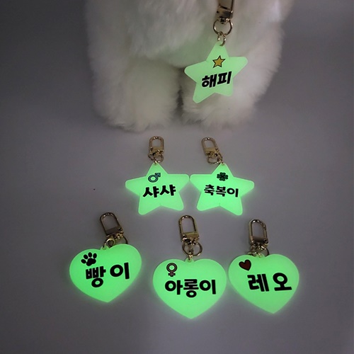 야광  반려동물 강아지 고양이 애견 이름표, 현재가 5,900원