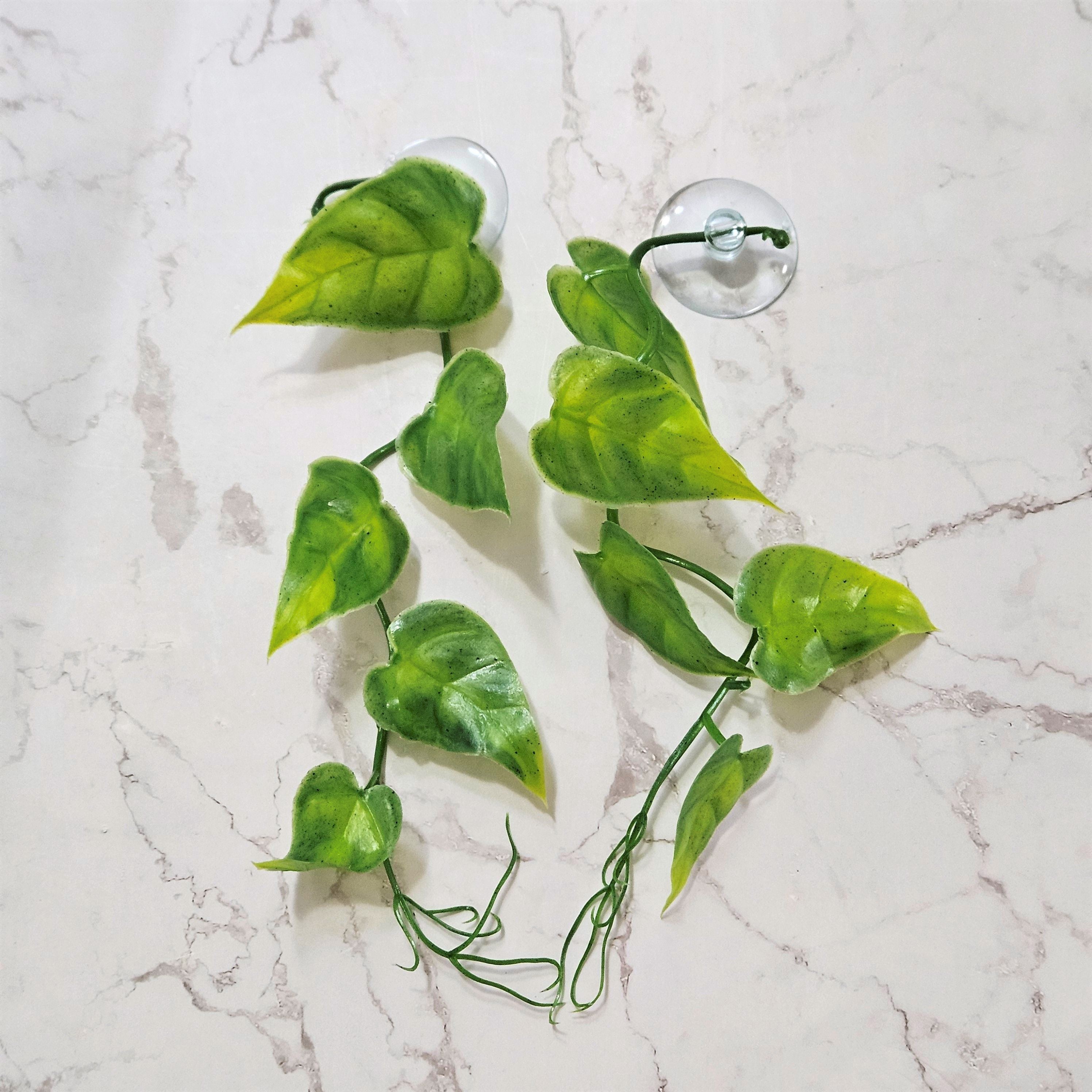 플라스틱 넝쿨 크레스티드 게코 도마뱀 파충류 사육장 꾸미기 인조풀 반짝CR 반짝크레, 2개, 스킨초록 6,300원