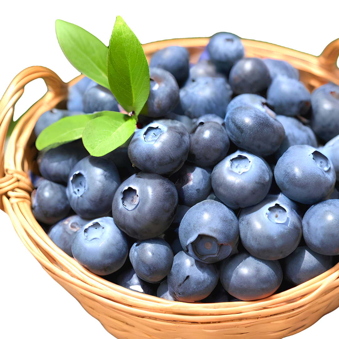 참새마켓 건강한 생블루베리, 5개, 1팩(약 125g) 49,500원