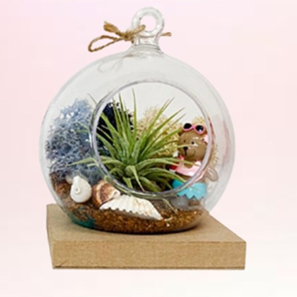 미니 이오난사 테라리움 키트 스칸디아모스 diy 만들기, 1개 9,900원