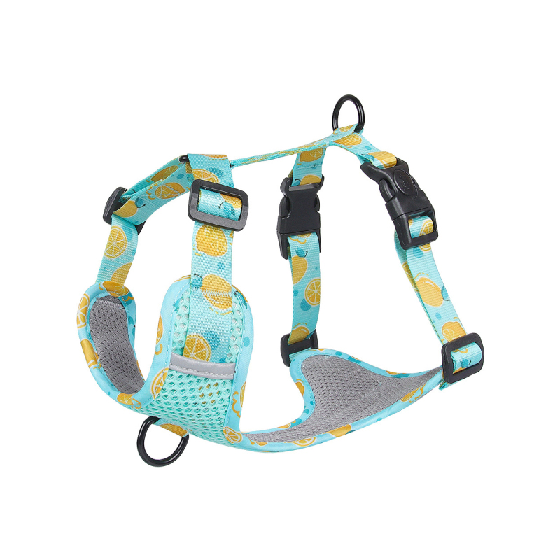 랜보어 반려동물 후르츠 메쉬 앞섬방지 하네스 6,480원