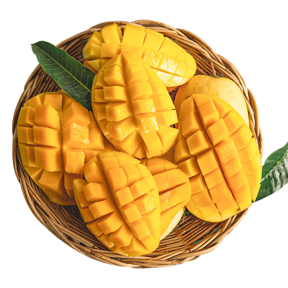 태국 남독마이 고당도 골드망고, 1박스, 5kg (특대10-16과내외) 47,100원