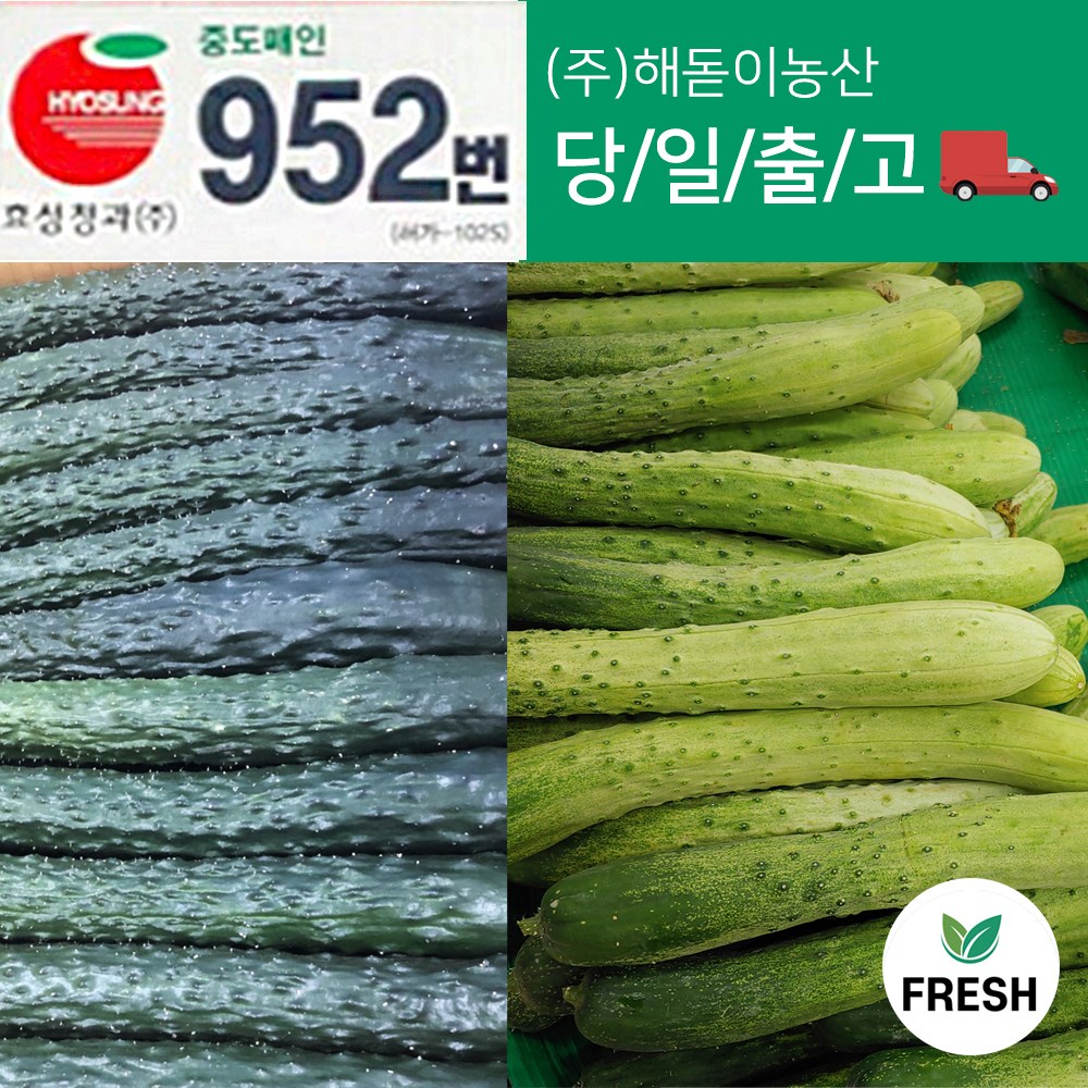 <해돋이농산> 국내산 오이 가시오이 청오이 백오이 다다기오이 특품 상품 못난이 10kg내외(상세페이지꼭참고하시기바랍니다.) 19,500원