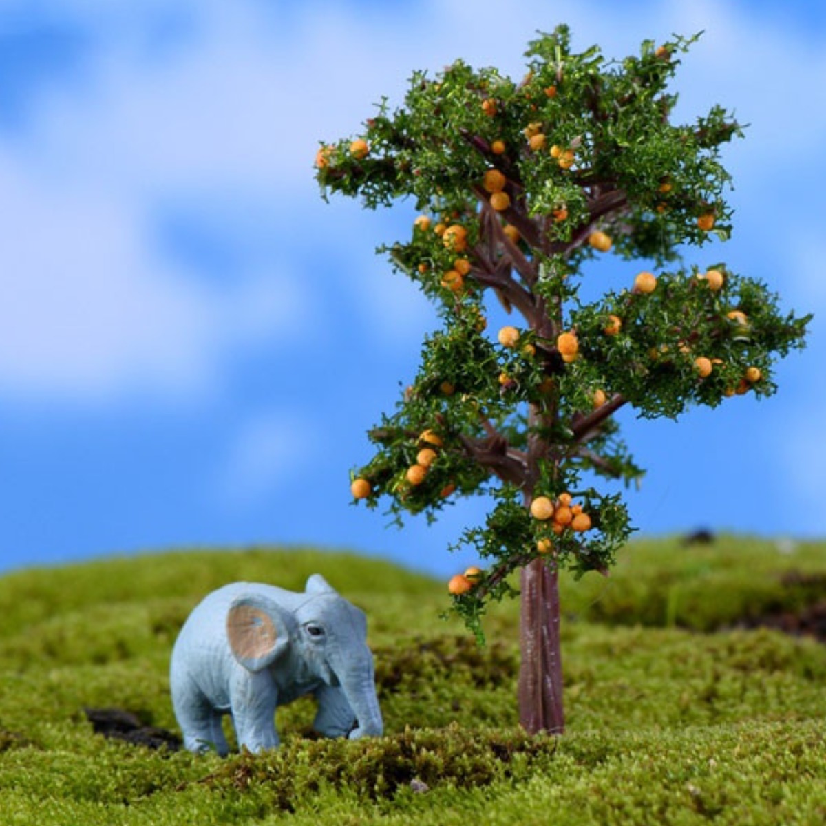 미스토토 테라리움 만들기 재료 나무오렌지나무7.2cm, 1개 810원