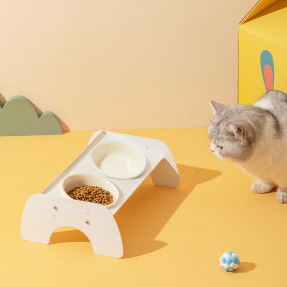 리엔떼 아마레 반려동물 세라믹 식기세트, 300ml 29,900원