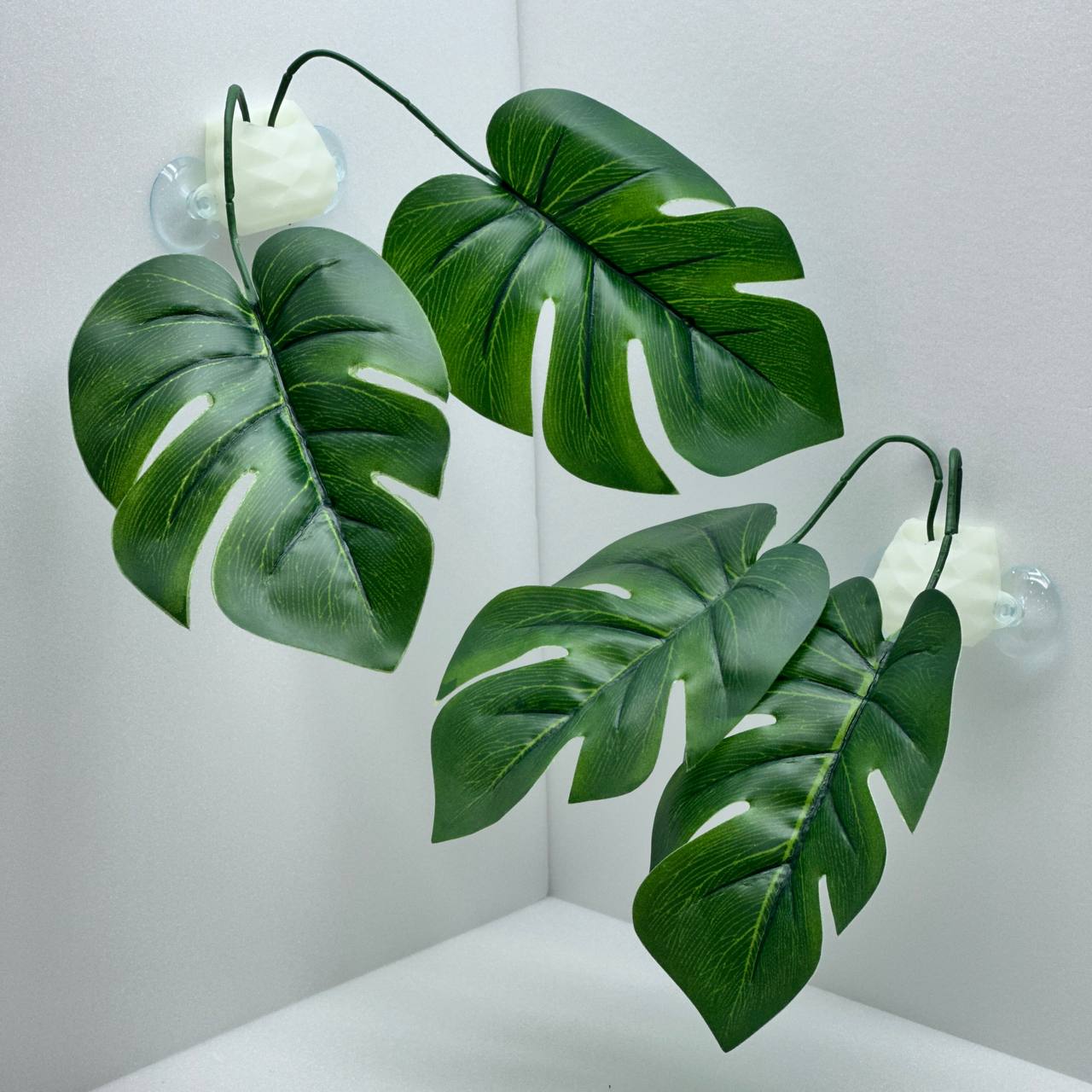 테라돔 테라리움 야광정글 파충류 도마뱀 은신처 꾸미기 몬스테라 2개 8,900원