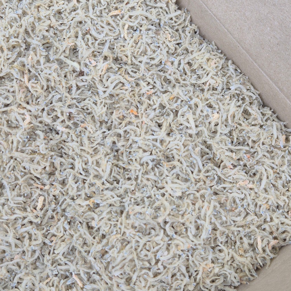 오늘의바다 국산 햇 업소용 세세멸치 1.5kg 실속형 아기 지리멸치 (당해 생산) 19,200원