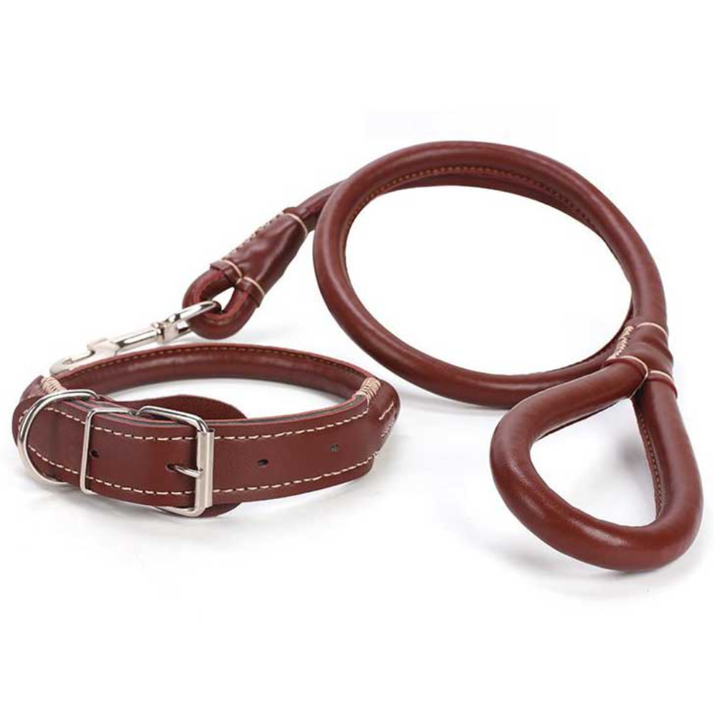 레오펫 반려견 중대형견 가죽 라운드 로프 목줄 + 리드줄 세트 12,400원