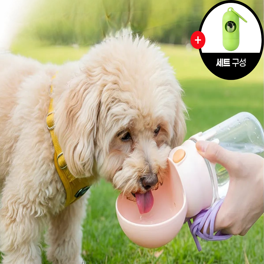 다있어유 강아지 산책용 올인원 휴대용 물통 360ml (산책 패키지), 1개, 사쿠라 핑크 (올인원 패키지) 13,990원