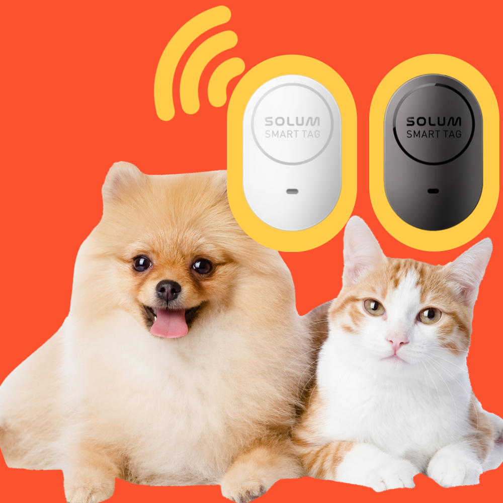 [갤럭시전용] 어디냥 강아지 고양이 gps 위치추적기 86,900원