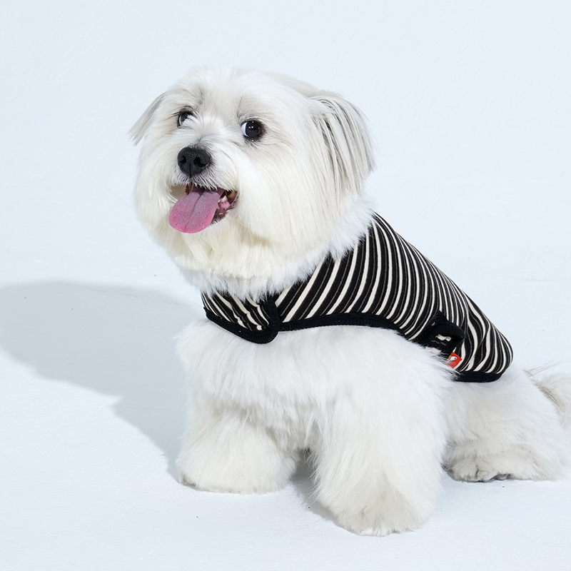 퍼피갤러리 강아지 잼잼 스트라이프 랩 베스트, 블랙, 1개 51,000원