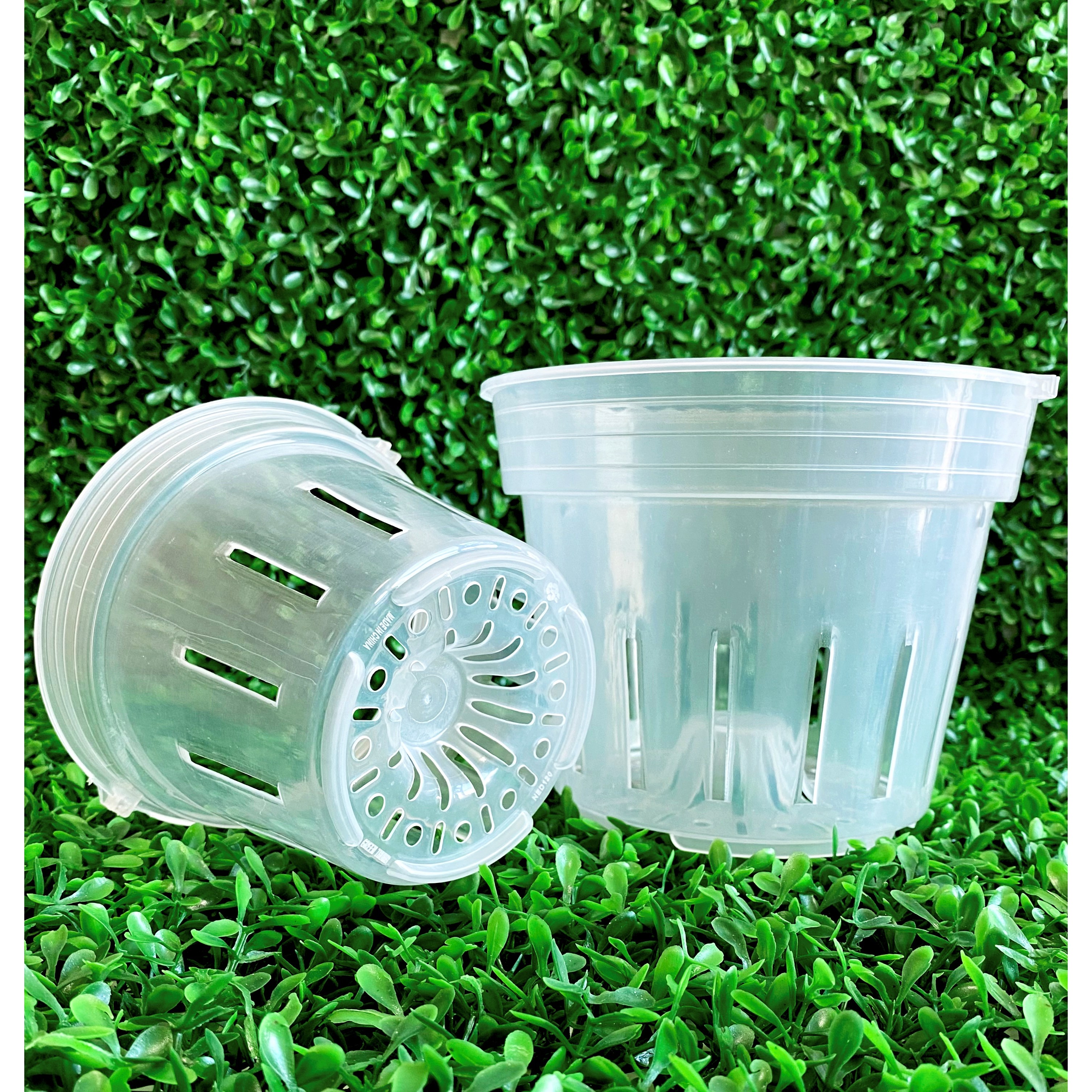 통기 슬릿 화분 호접란 서양난 분갈이 플라스틱 투명 화분 슬릿분 타공 2,400원