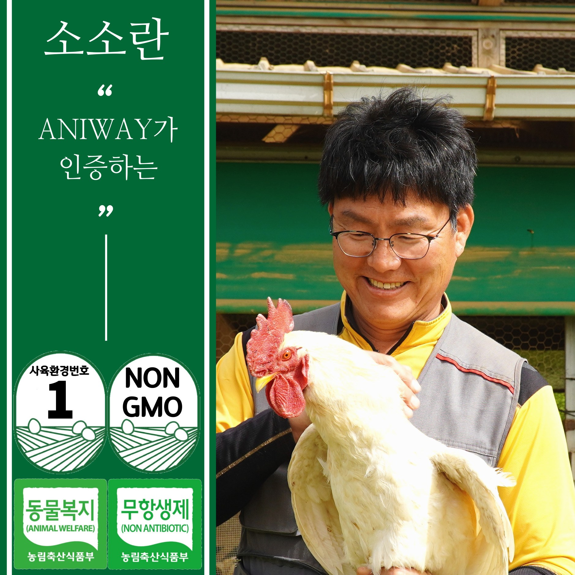 5성급 호텔 계사에서 살아가는 벽오리농장 동물복지 자연방사 1번 유정란 20구 40구 60구 29,900원