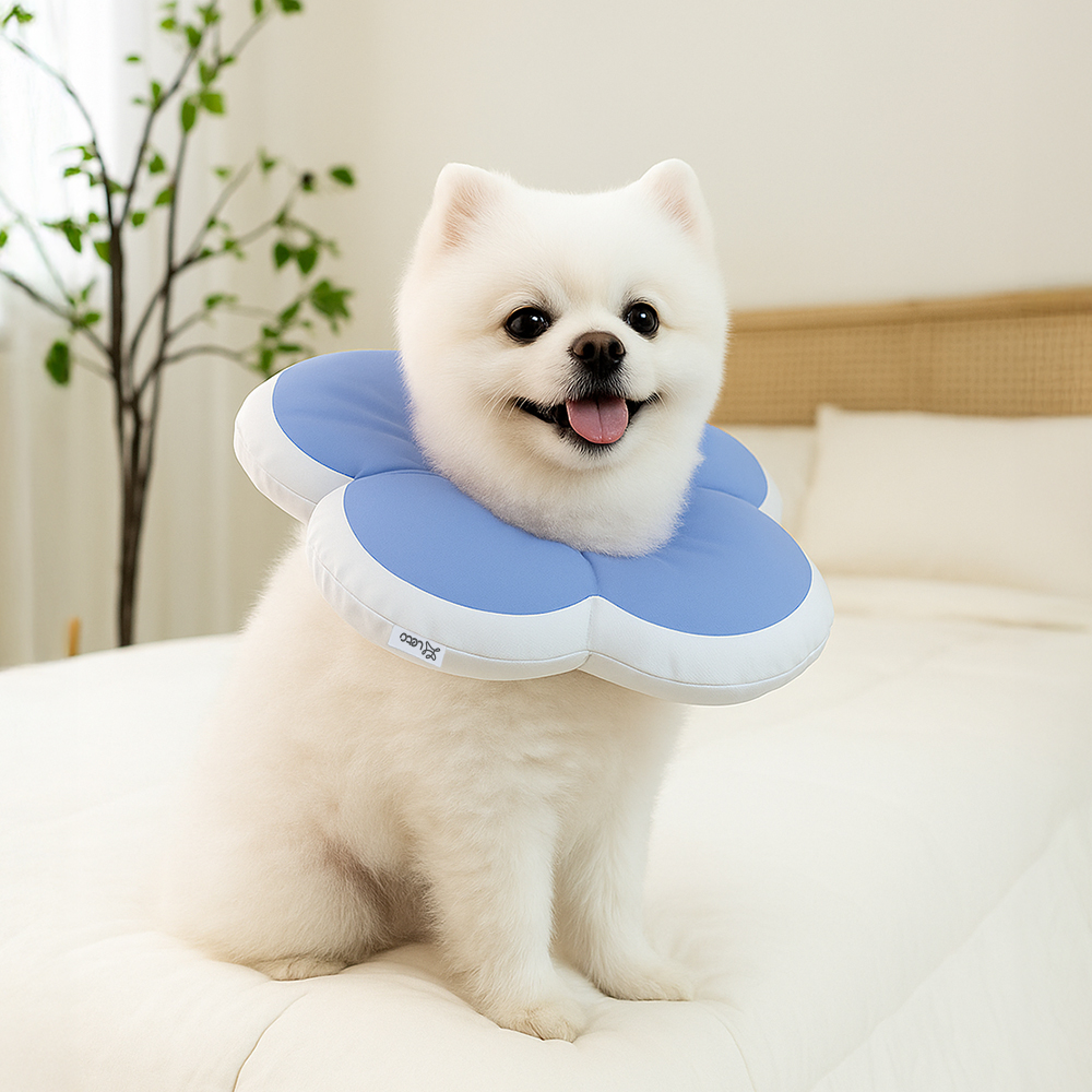 레토 반려동물 플라워 방수 초경량 넥카라 6,240원