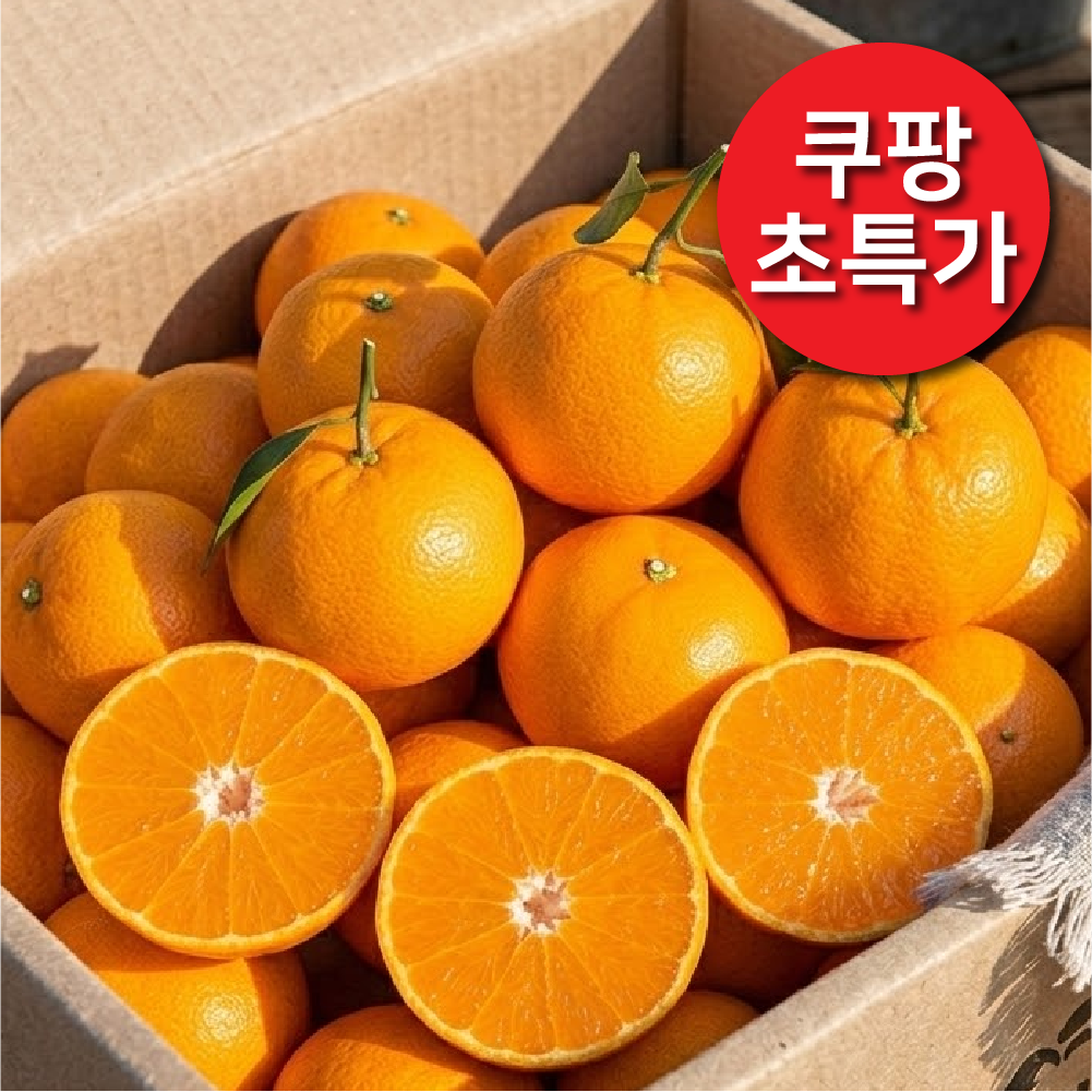 [농장직송] 달콤한 제주 천혜향 특품 당도선별 고당도 15Brix 45,700원