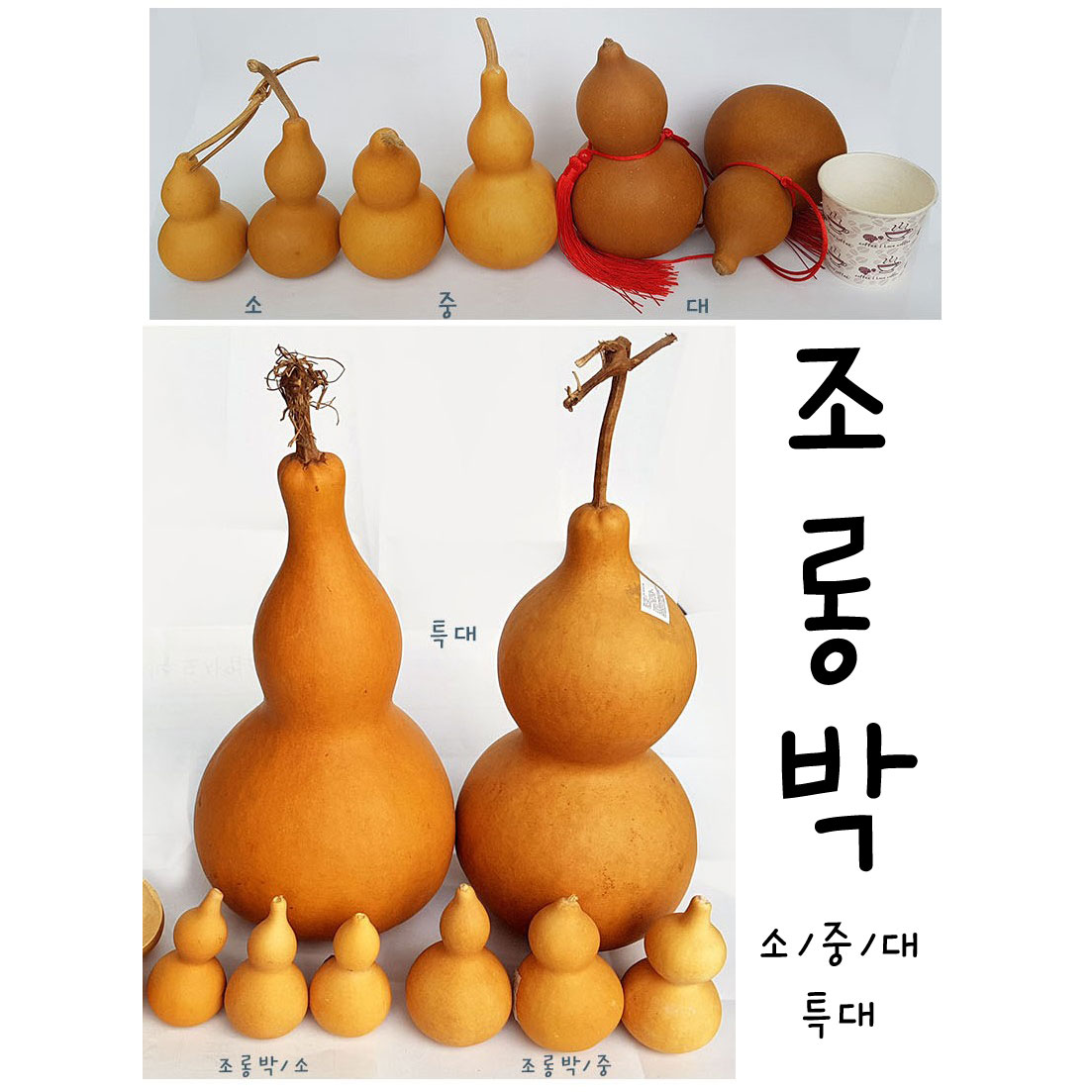 IQPLUS 조롱박 DIY 개업행사 결혼행사 공간꾸미기 공예재료 만들기재료 민속공예 민속선물 민속소품 민속용품  민속장식 인테리어소품 장식소품 전통박바가지 전통공예 전통소품 전통인 7,000원