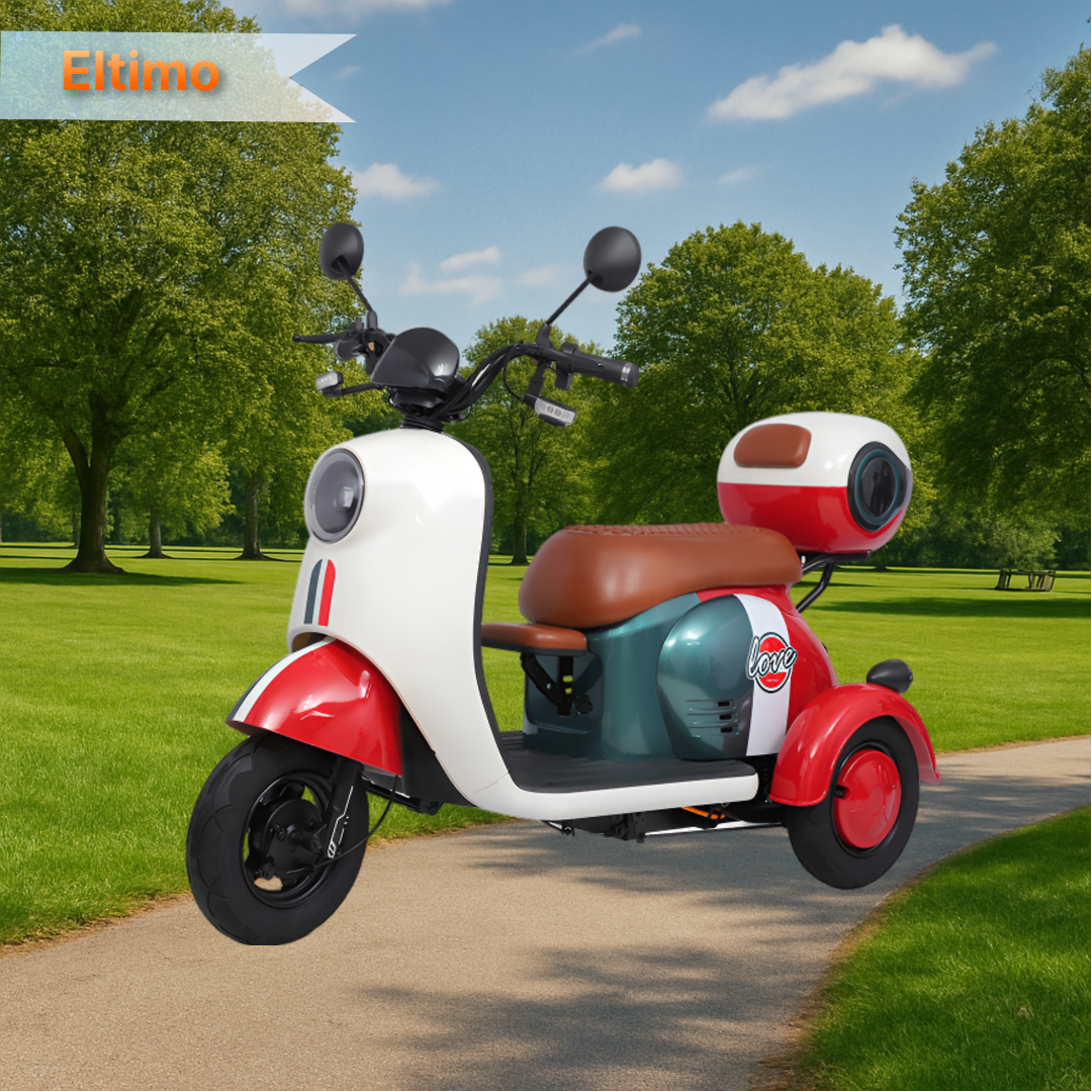 엘티모 세발 전기스쿠터 3발 리튬배터리 오토바이 전동 스쿠터 전동차, 레드, 48V12 그래핀 20km 858,900원