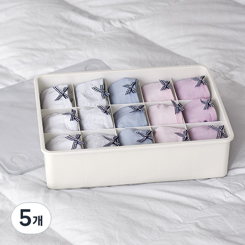 이즈리빙 칸칸칸 속옷 정리함 15칸 23,550원