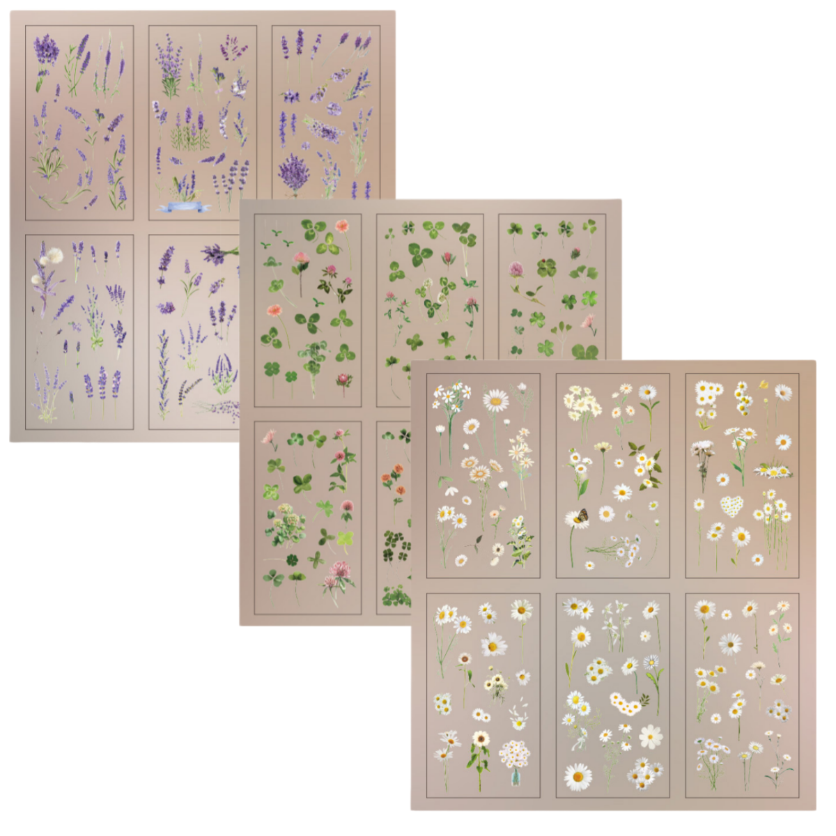 케이엠 플로랄 투명 방수 스티커 믹스, 순수의데이지+정결의라벤더+행운의클로버, 1세트 8,500원