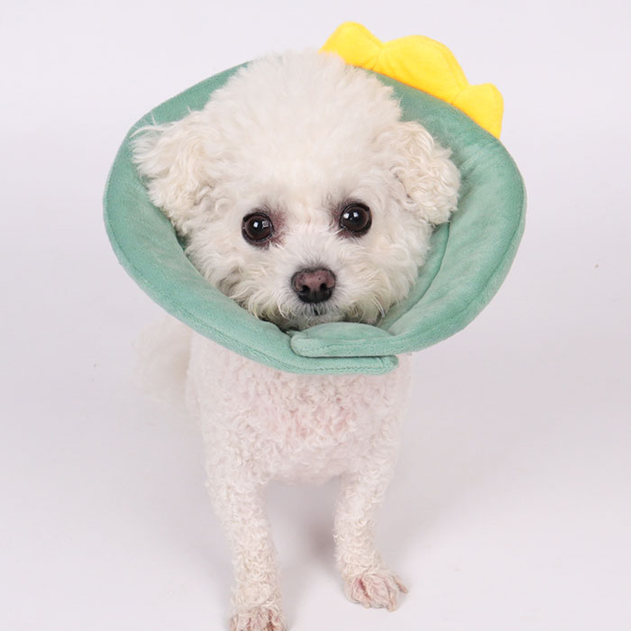 딩동펫 강아지 큐트 엘리 넥카라 7,300원